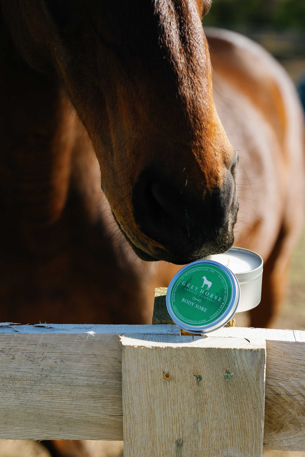 Tin Candles — Choose Your Scent