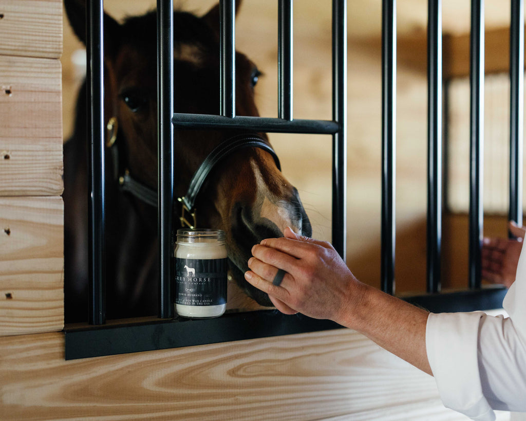 Horse Husband Signature Jar Candle