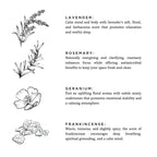Midnight Garden - Signature Soy Candle – Lavender, Rosemary & Geranium