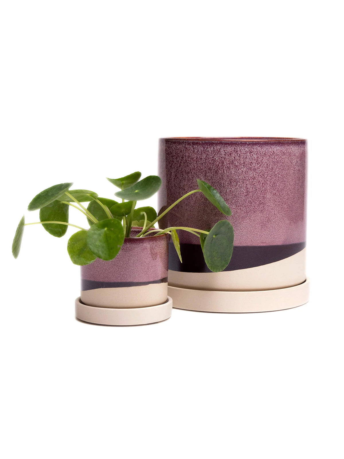 Burgundy Ceramic Plant Pot and Saucer — Select Your Size