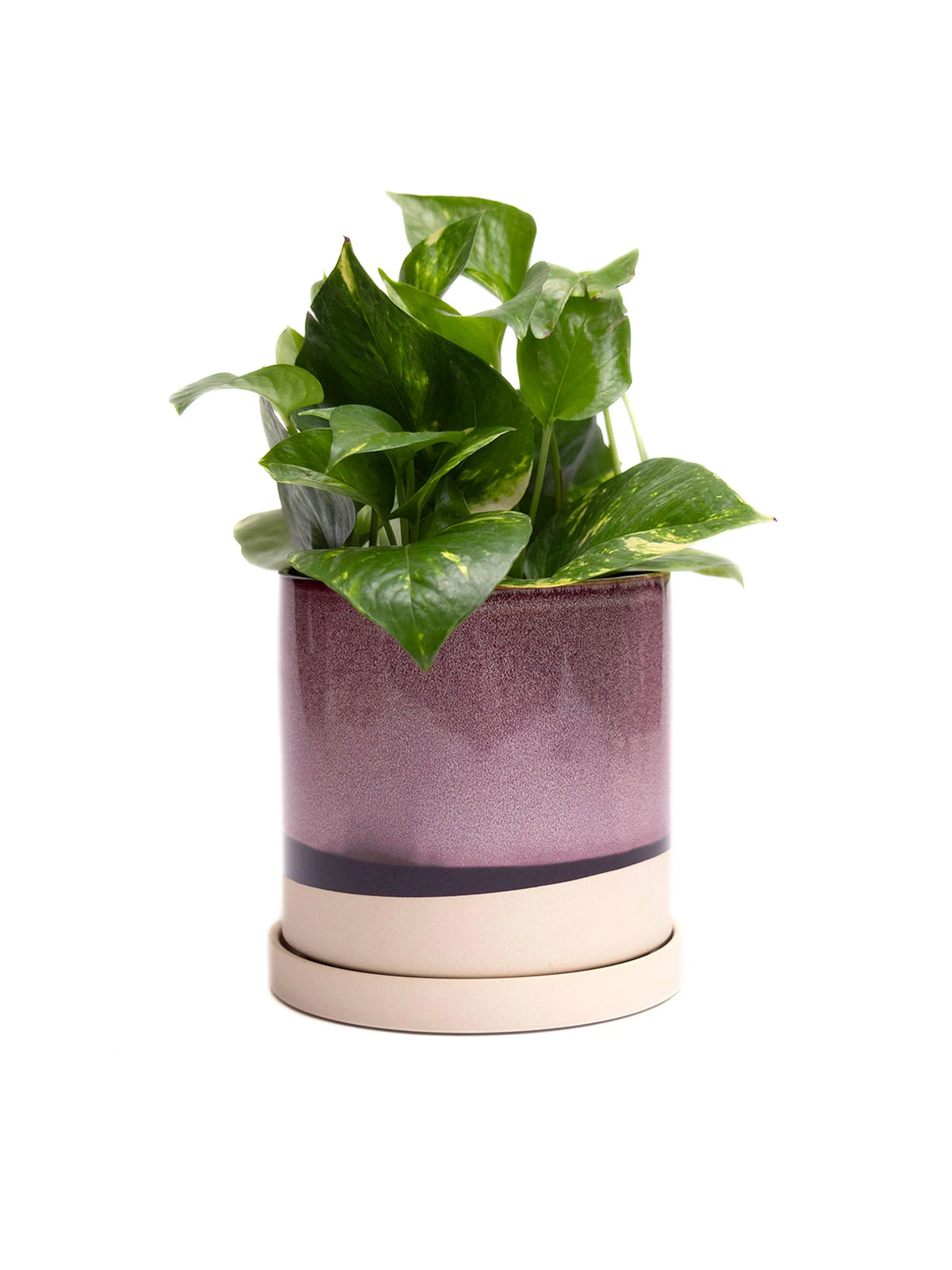 Burgundy Ceramic Plant Pot and Saucer — Select Your Size