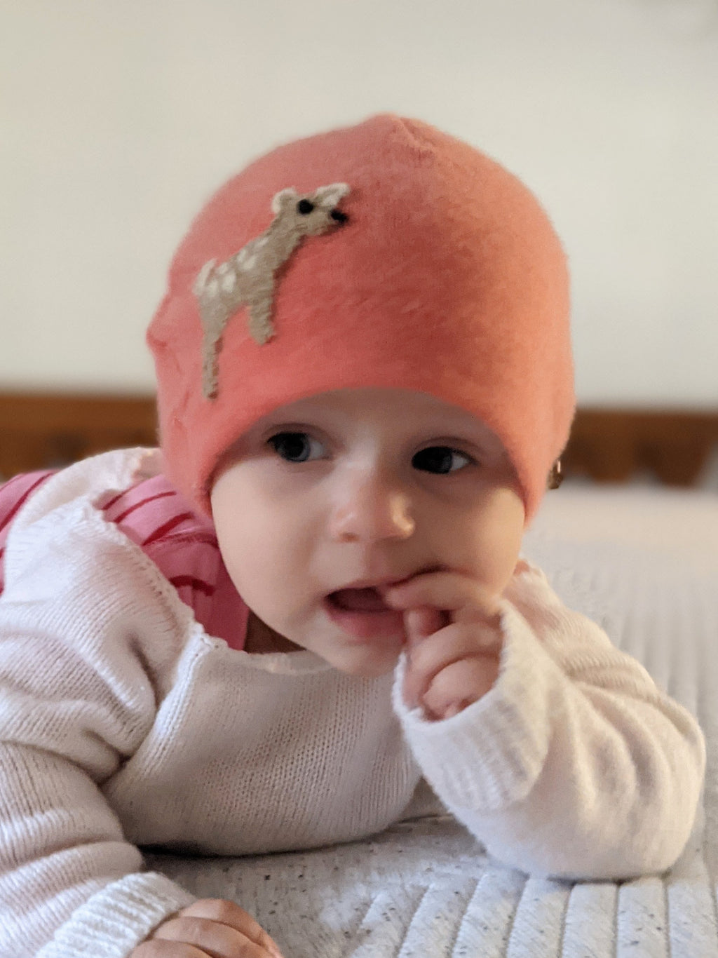 Fawn Cashmere Hat - Baby — Select Your Color