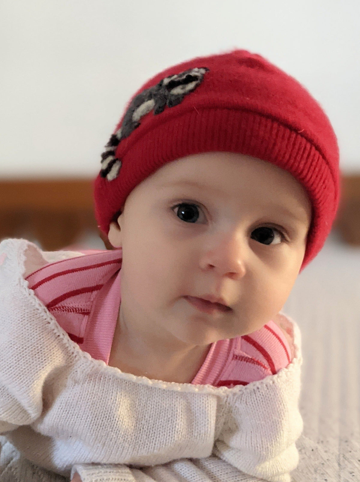 Raccoon Cashmere Hat - Baby — Select Your Color