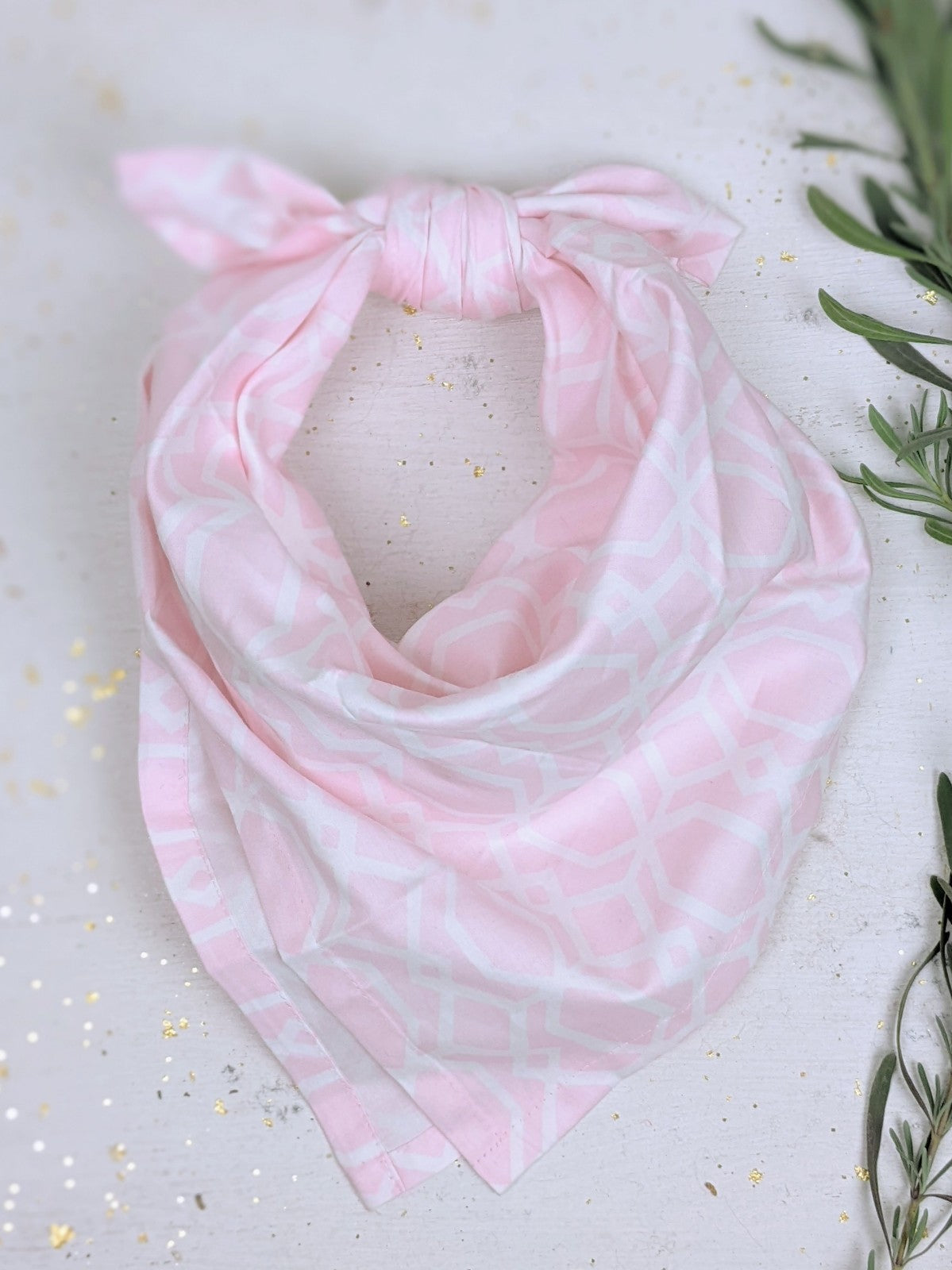 Organic Cotton Bandana — Select Your Color