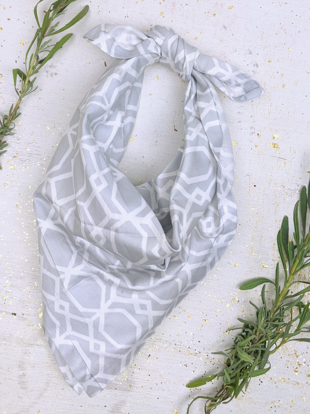 Organic Cotton Bandana — Select Your Color