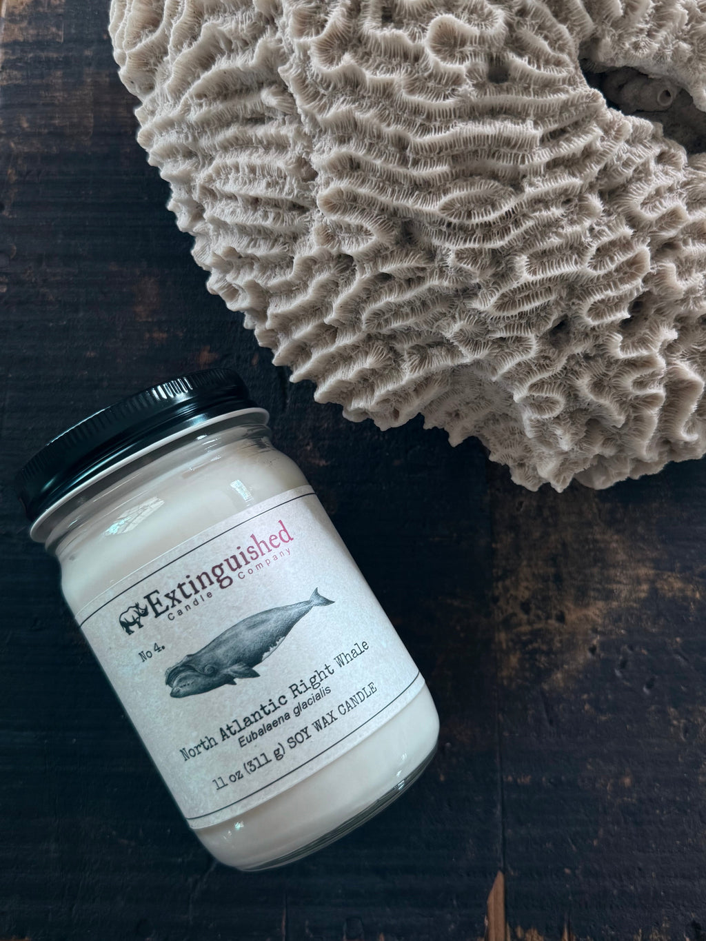 Extinguished Candle Co. No 4. North Atlantic Right Whale Signature Jar Candle