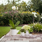 Handmade Cane Webbing Pattern Ceramic Planter — Select Your Size