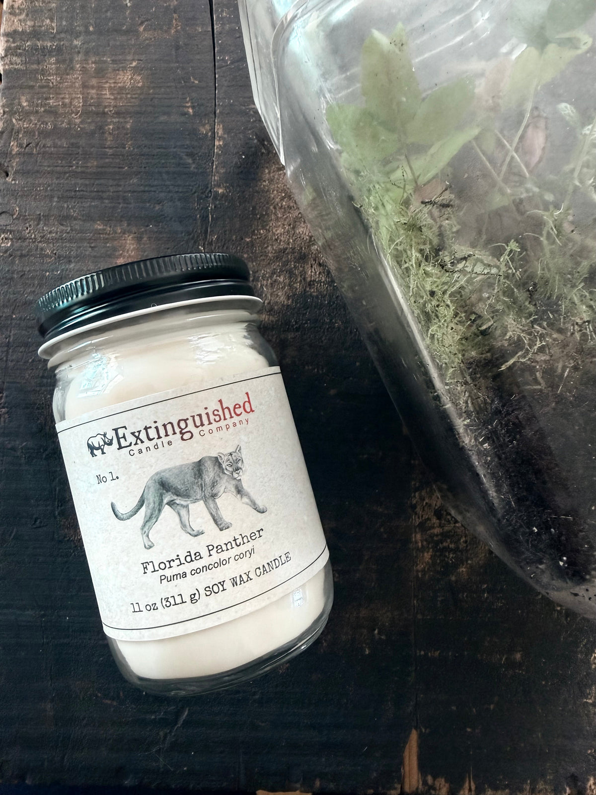 Extinguished Candle Co. No 1. Florida Panther Signature Jar Candle