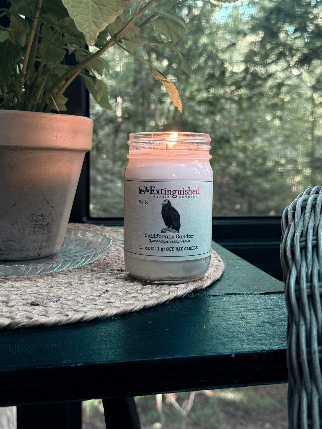 Extinguished Candle Co. No 3. California Condor Signature Jar Candle