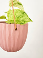 Virago Modern Hanging Planter - Waves — Select Your Color