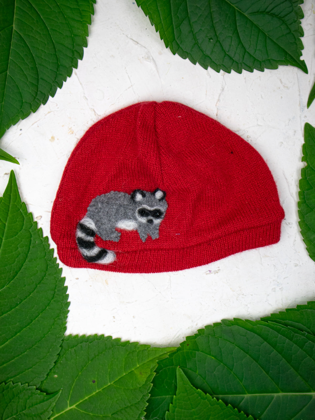 Raccoon Cashmere Hat - Baby — Select Your Color