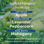 Apple + Mahogany Scented Hanging Refillable Car Freshener Diffuser