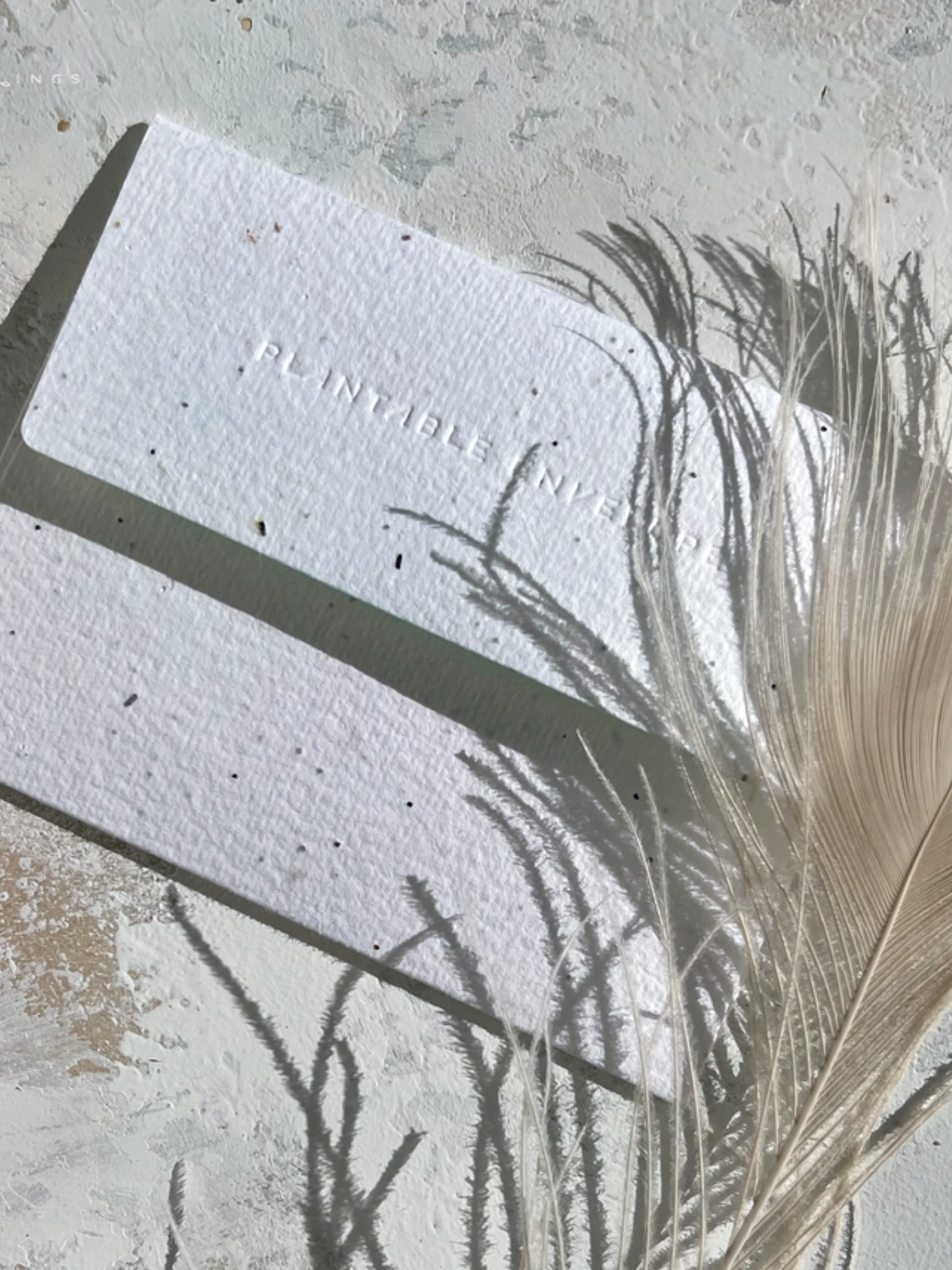 Shore Am Thankful - Seeded Thank You Card with PLANTABLE seed paper envelope