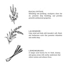 Shangri-La - Eucalyptus + Lavender + Lemongrass Candle