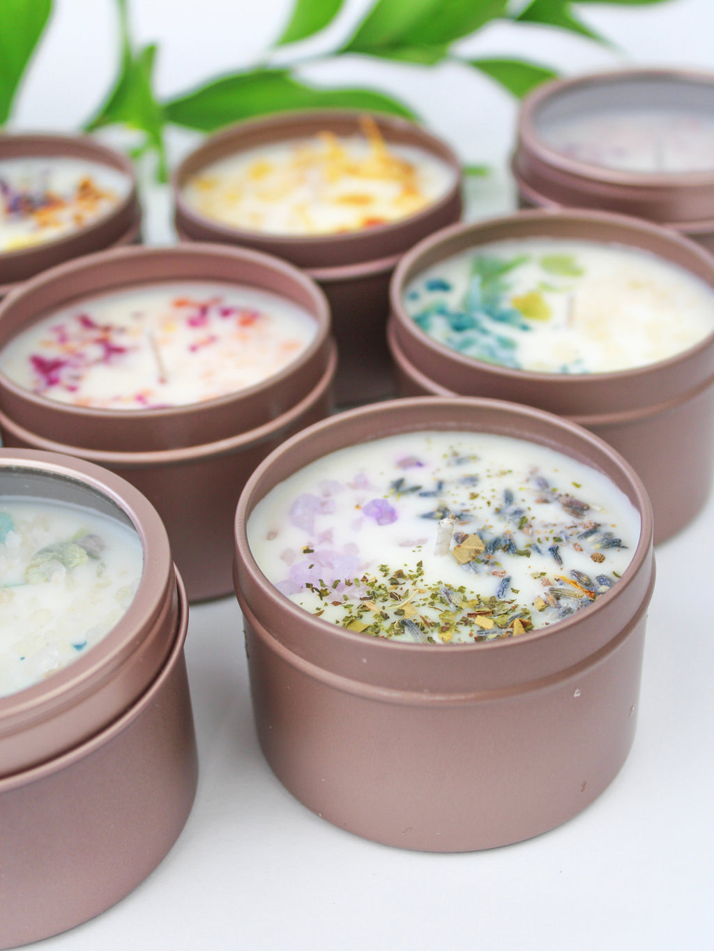 Unlabeled 4 oz Botanical Soy Wax Candles - Party Favors — Select Your Scent