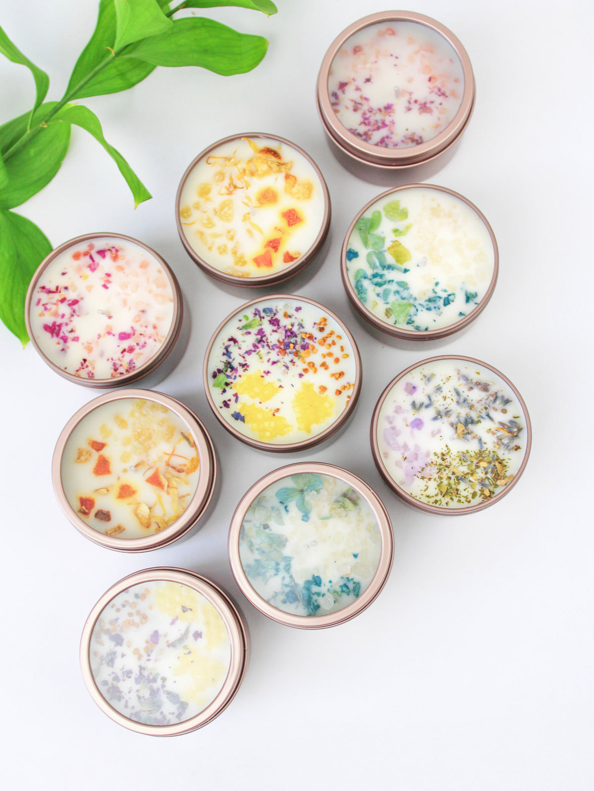Unlabeled 4 oz Botanical Soy Wax Candles - Party Favors — Select Your Scent