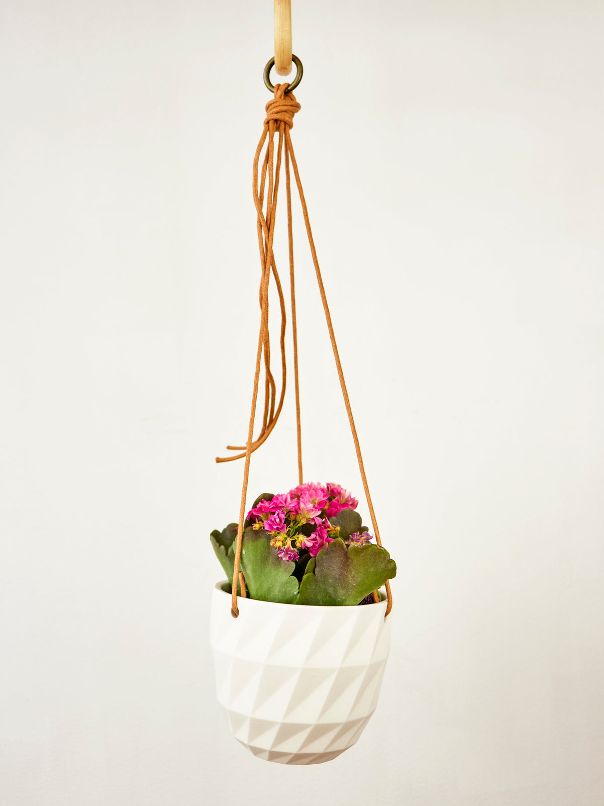 Virago Modern Hanging Planter - Grid — Select Your Color