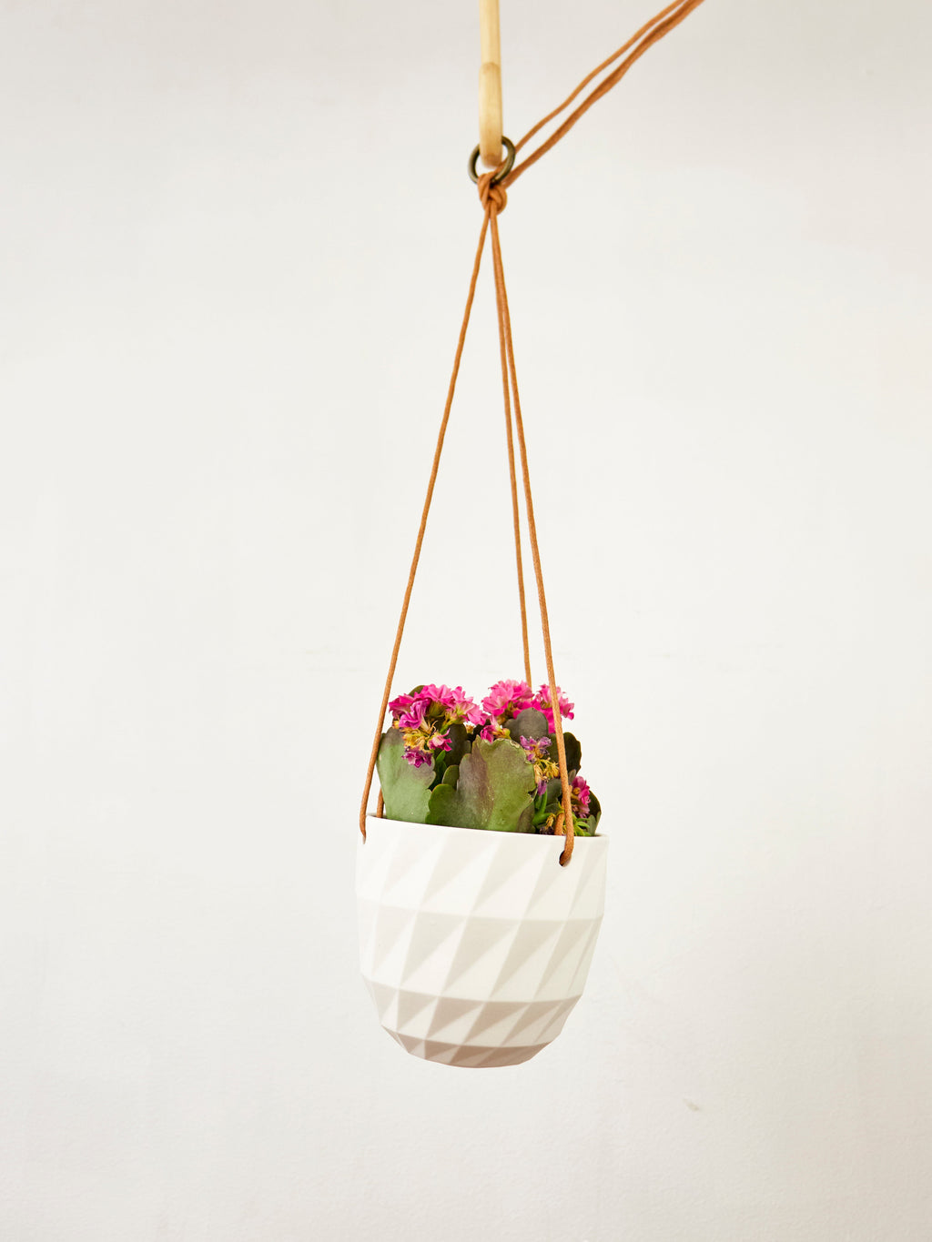 Virago Modern Hanging Planter - Grid — Select Your Color