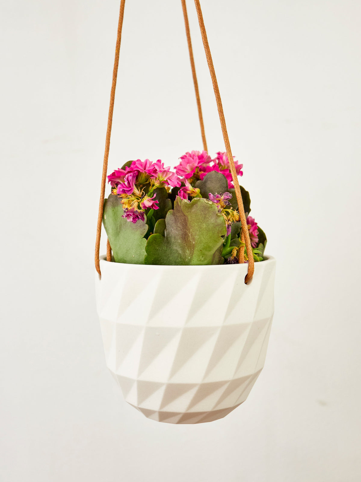 Virago Modern Hanging Planter - Grid — Select Your Color