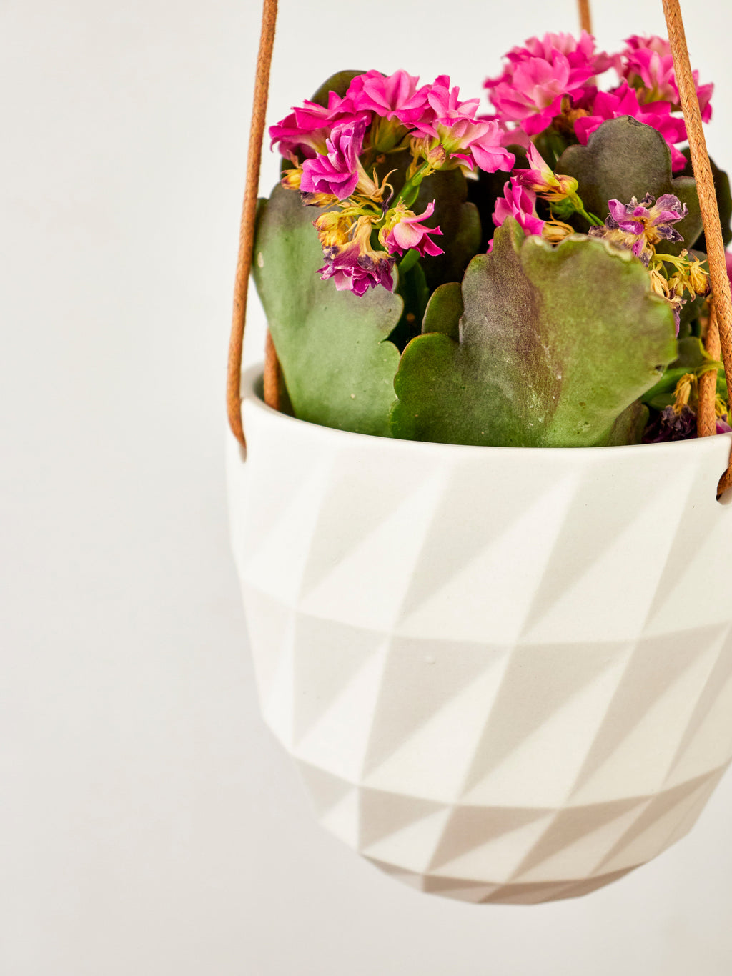 Virago Modern Hanging Planter - Grid — Select Your Color