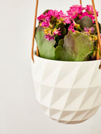 Virago Modern Hanging Planter - Grid — Select Your Color