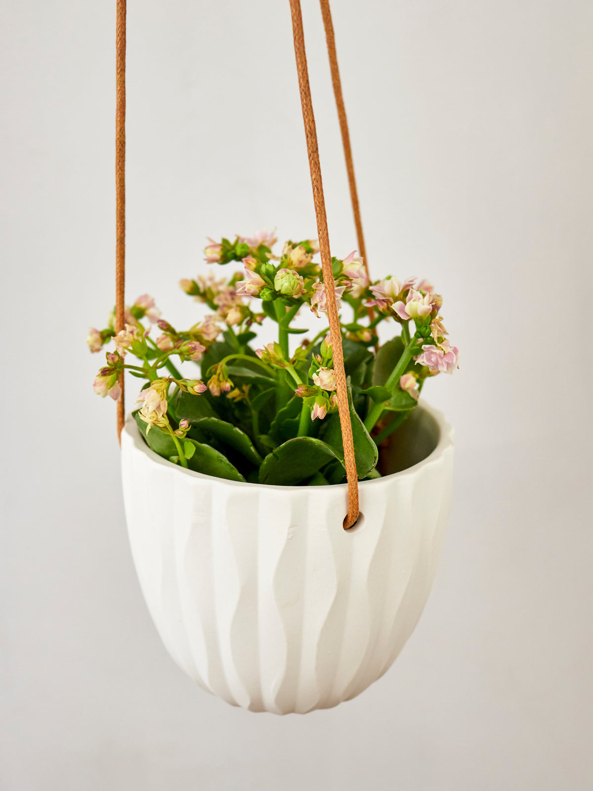 Virago Modern Hanging Planter - Waves — Select Your Color