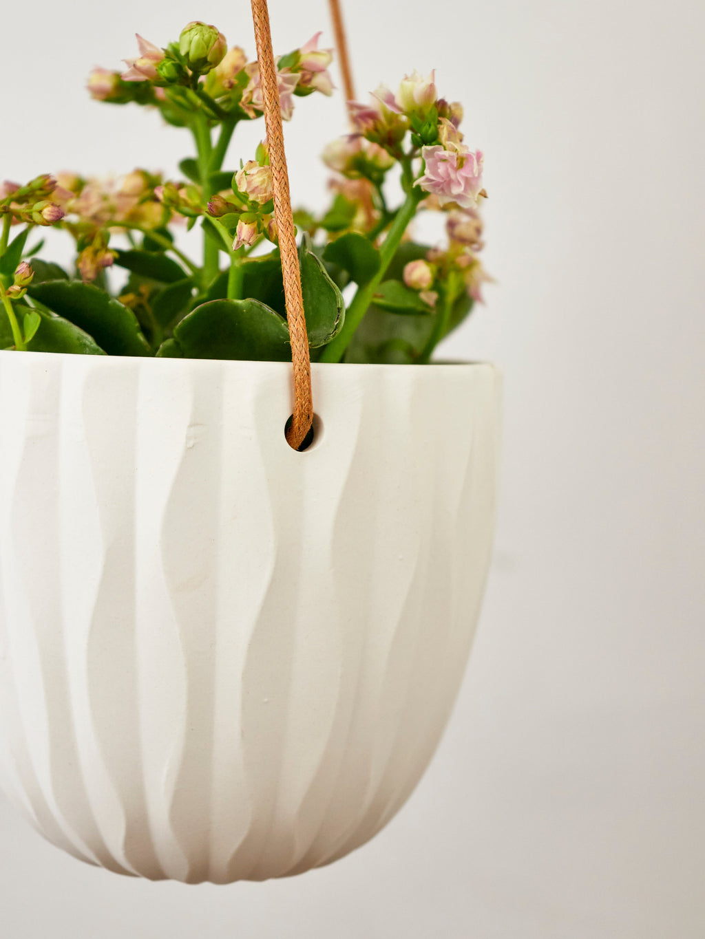 Virago Modern Hanging Planter - Waves — Select Your Color