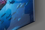 Deep Blue Fish School Shark Glass Wall Art