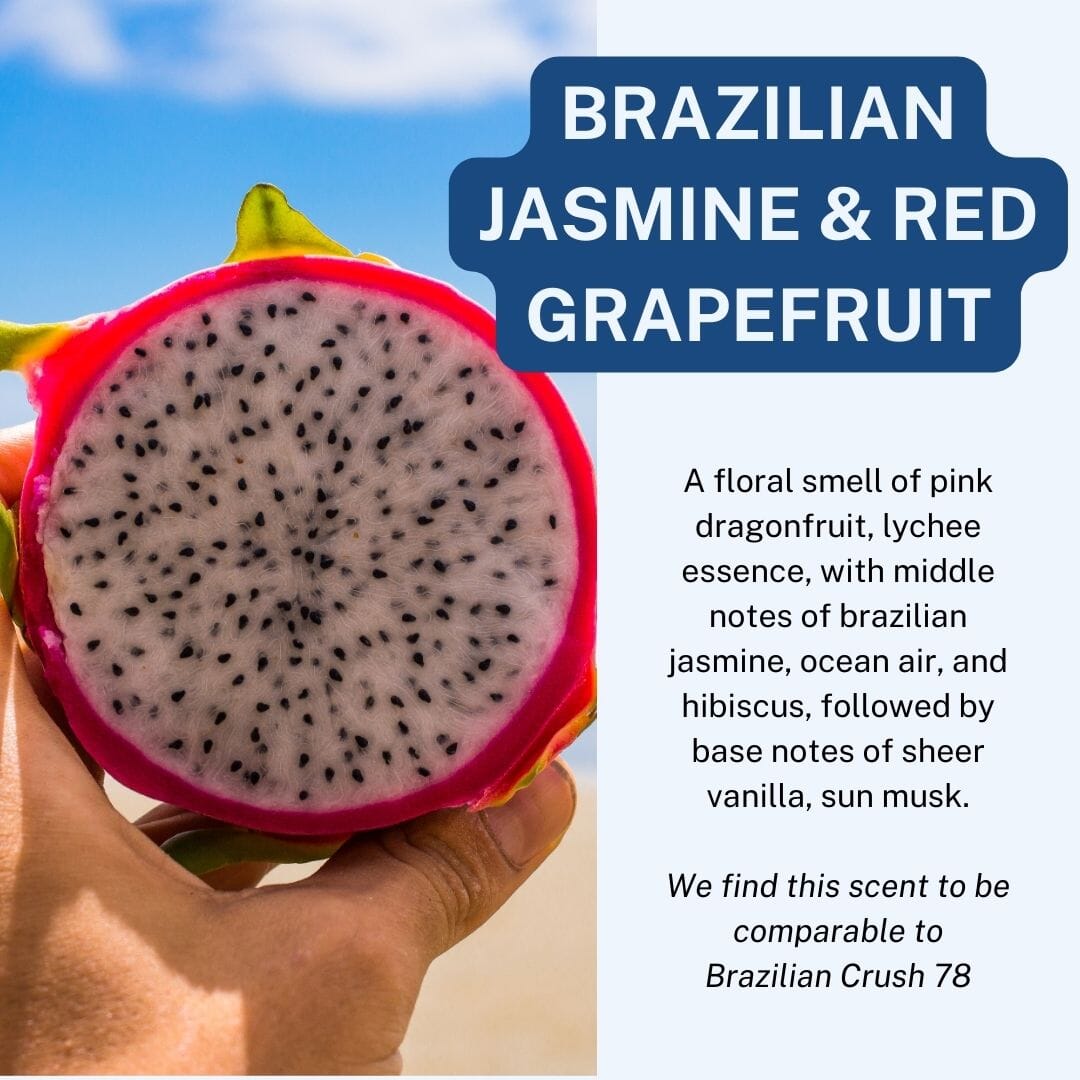 Brazilian Jasmine & Pink Dragonfruit Scented Hanging Refillable Car Freshener Diffuser