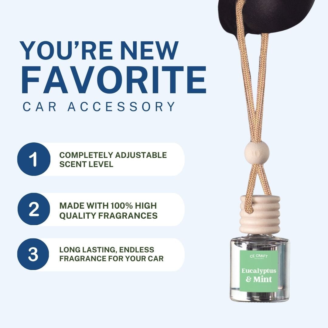 Eucalyptus & Mint Scented Hanging Refillable Car Freshener Diffuser