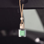 Eucalyptus & Mint Scented Hanging Refillable Car Freshener Diffuser