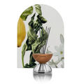Breath Wood Transparent Glass Reed Diffuser with Aroma Oil