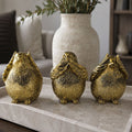 3 Wise Birds — Select Your Wisdom