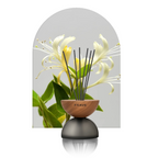 Breath Wood Frosted Glass Reed Diffuser with Aroma Oil