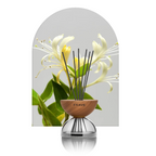 Breath Wood Transparent Glass Reed Diffuser with Aroma Oil