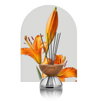 Breath Wood Transparent Glass Reed Diffuser with Aroma Oil