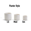 Handmade Cane Webbing Pattern Ceramic Planter — Select Your Size