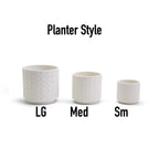 Handmade Cane Webbing Pattern Ceramic Planter — Select Your Size