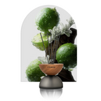 Breath Wood Frosted Glass Reed Diffuser with Aroma Oil
