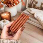 Fall Fabric Coasters — Select Your Pack & Color Story