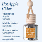 Hot Apple Cider Scented Hanging Refillable Car Freshener Diffuser