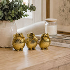 3 Wise Birds — Select Your Wisdom