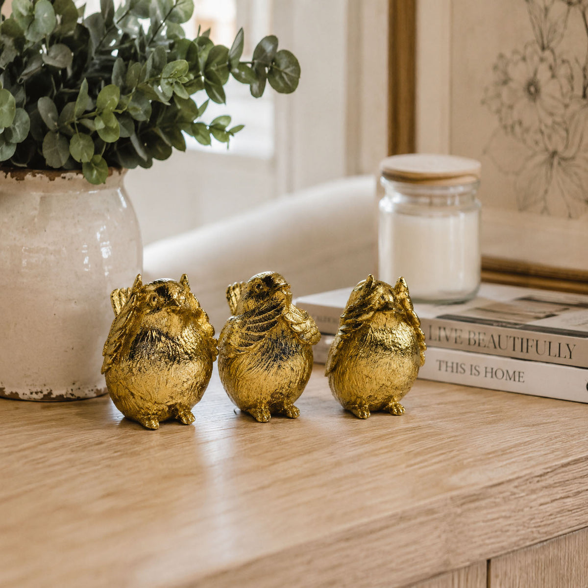 3 Wise Birds — Select Your Wisdom