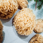 Authentic Dead Sea Sponge