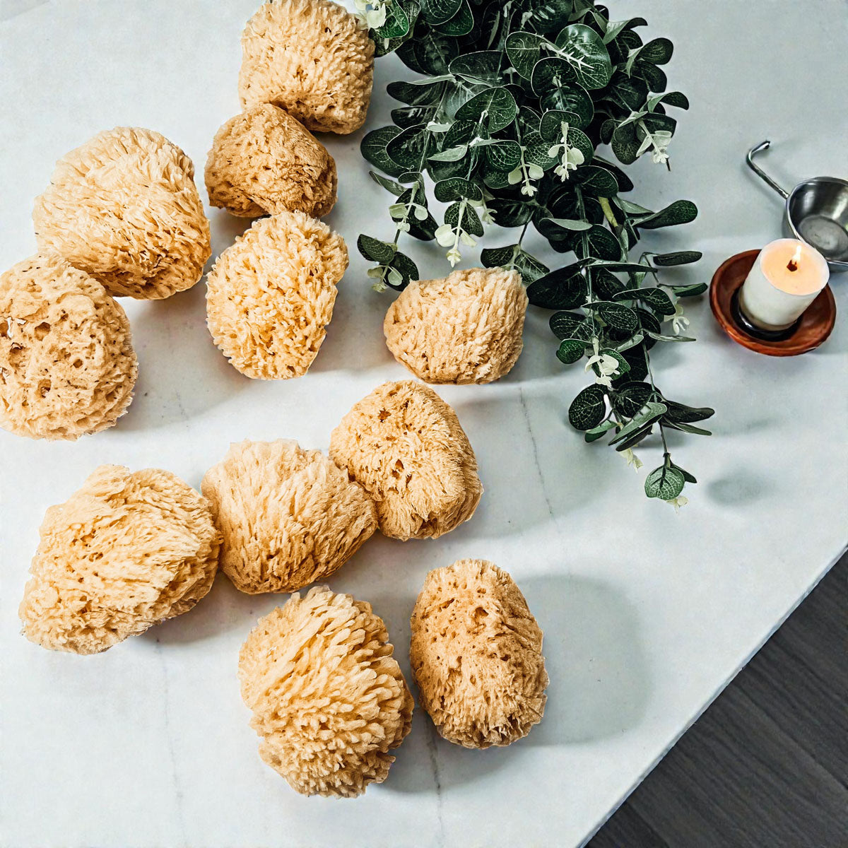 Authentic Dead Sea Sponge