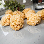 Authentic Dead Sea Sponge