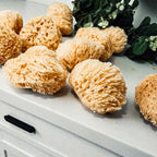Authentic Dead Sea Sponge