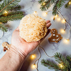 Authentic Dead Sea Sponge