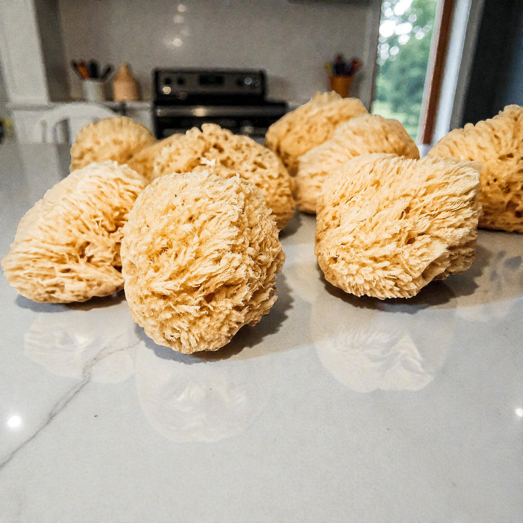 Authentic Dead Sea Sponge
