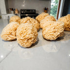 Authentic Dead Sea Sponge